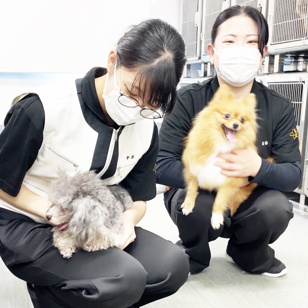 Ｗａｎ活の生徒とお散歩☆